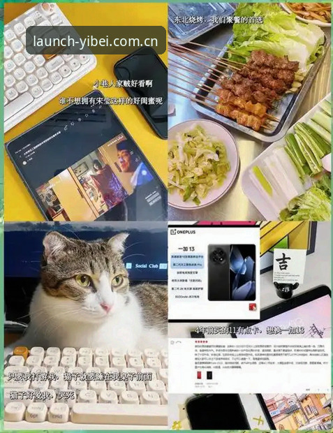 老用户分享：易倍体育中文官方主页焕新登场快速访问，三步登录的这个变化值得细说